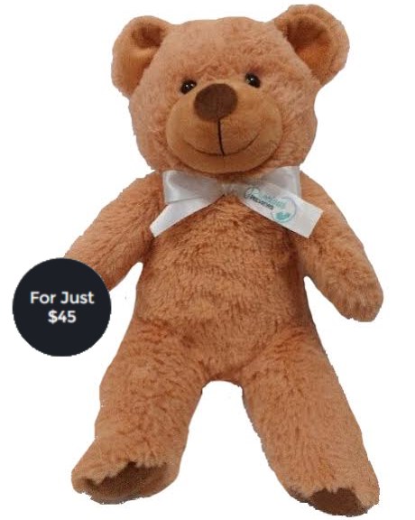 http://preciouspreviews.com.au/wp-content/uploads/2015/12/teddy-pricing2.jpg