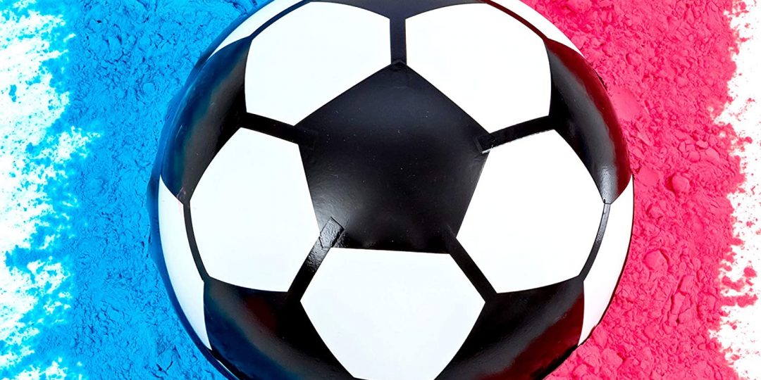 Gender Reveal Soccer Ball